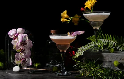 Exclusive Cocktail Parties